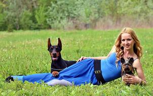 woman lays on grass with Doberman and Yorkie Dogs