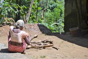 Old Woman and Woods