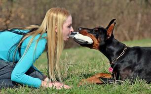 blonde plays with a doberman on a blurred background