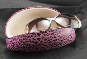 Pink Eyewear case