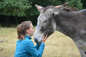 Donkey Girl Young Woman