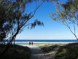 Queensland Australia Landscape