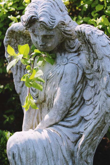 Angel Statue Nature