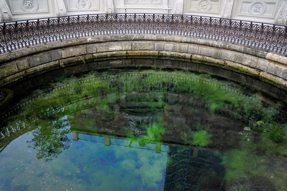 The Source Of Danube pond