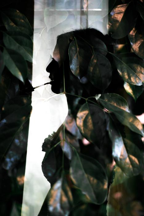 Leaf Plant Woman
