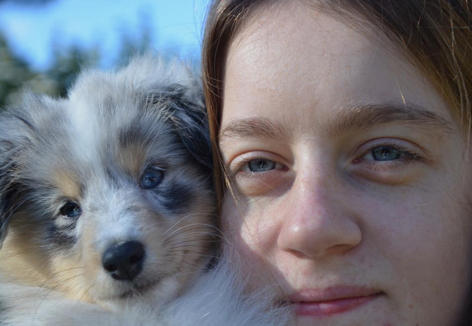 Look Eyes Dog Young