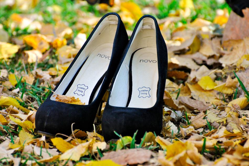 Shoes Sandles Shoe