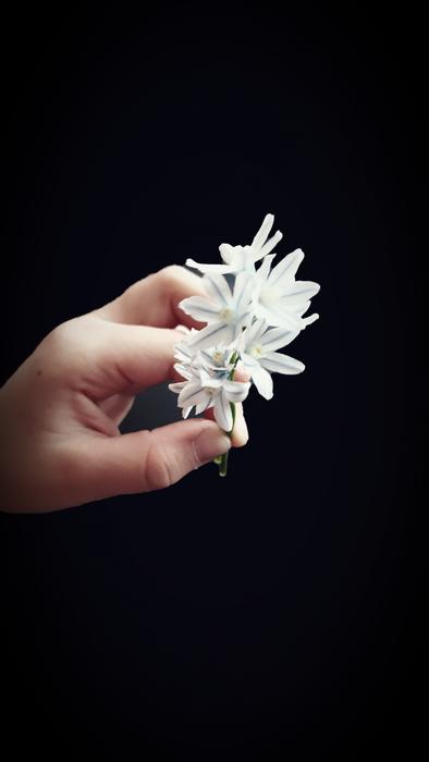 Nature Plant Wallpaper