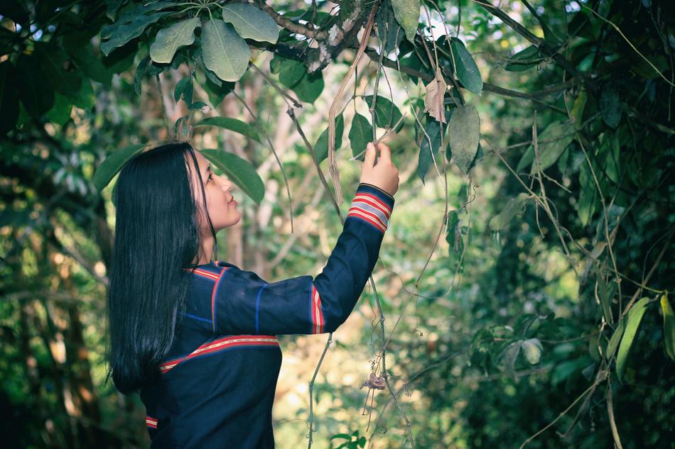 Girl in Forrest