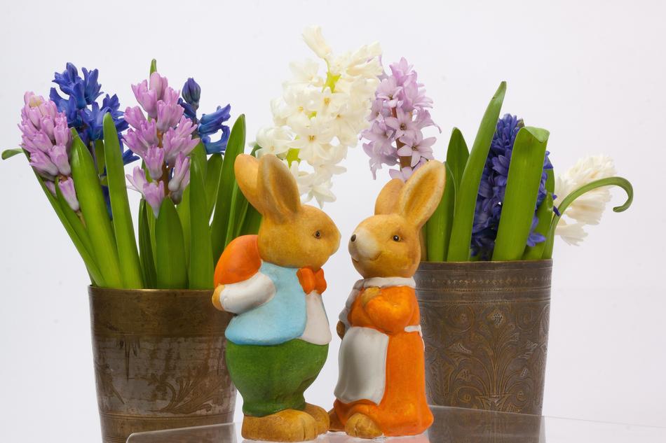 Easter Bunny Hare