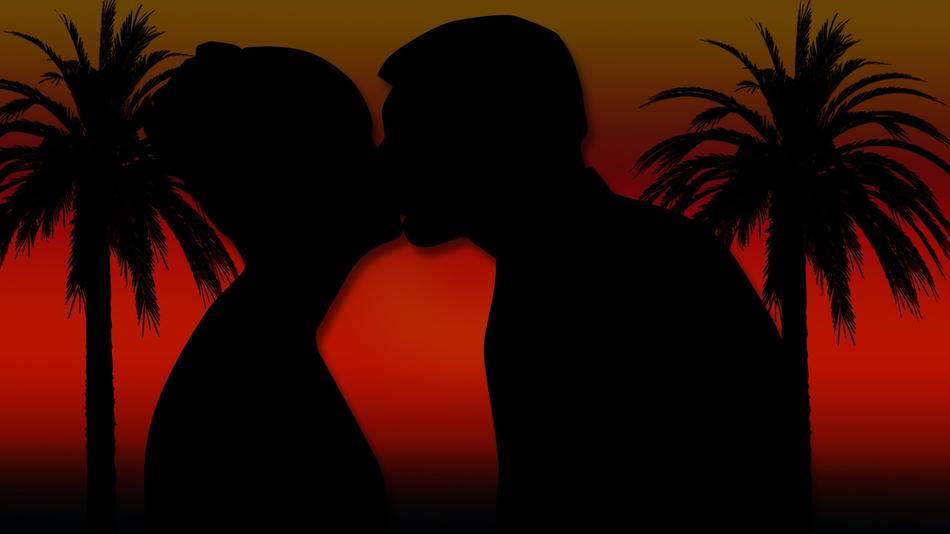 couple palm trees lovers