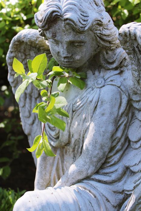 Angel Statue Nature