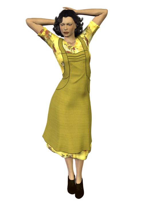 wife house retro apron dress