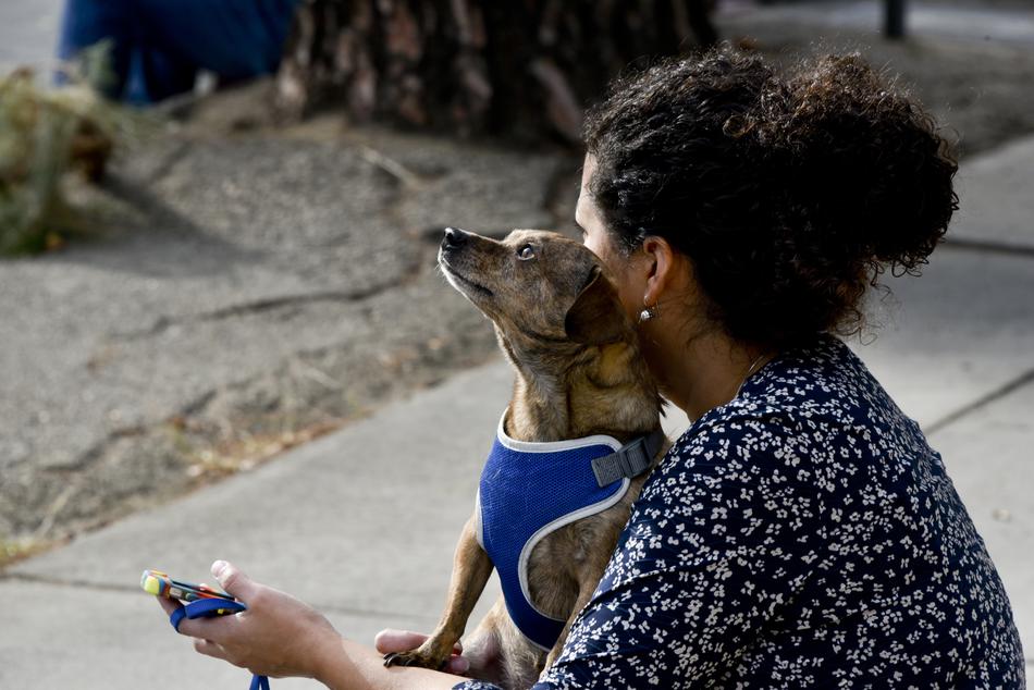 Woman Dog Pet