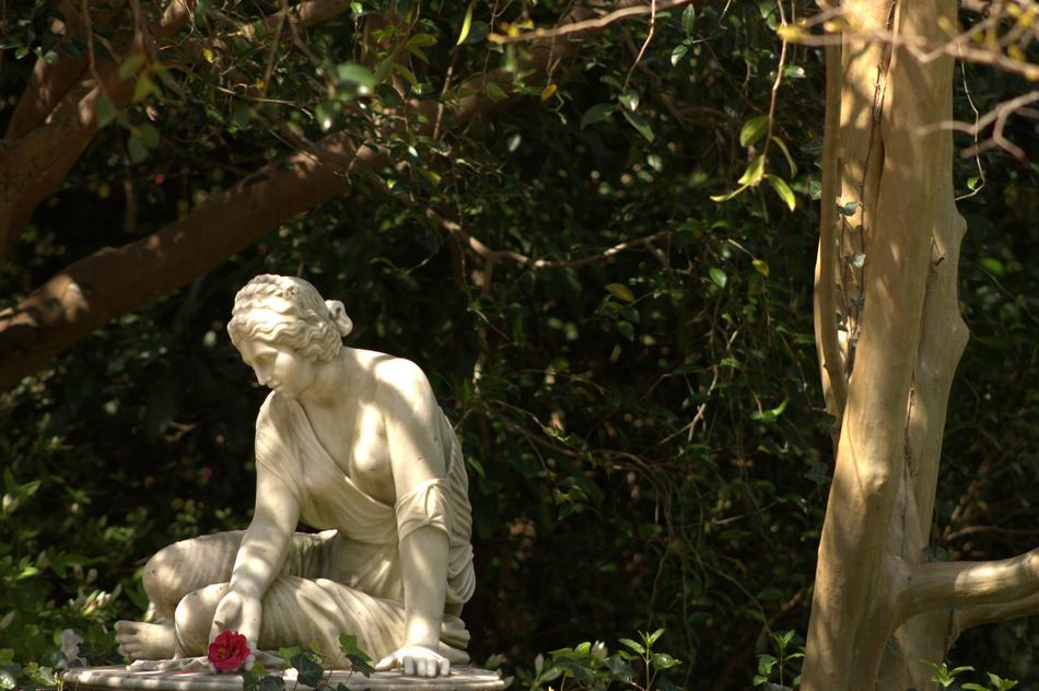 Statue Garden Tree