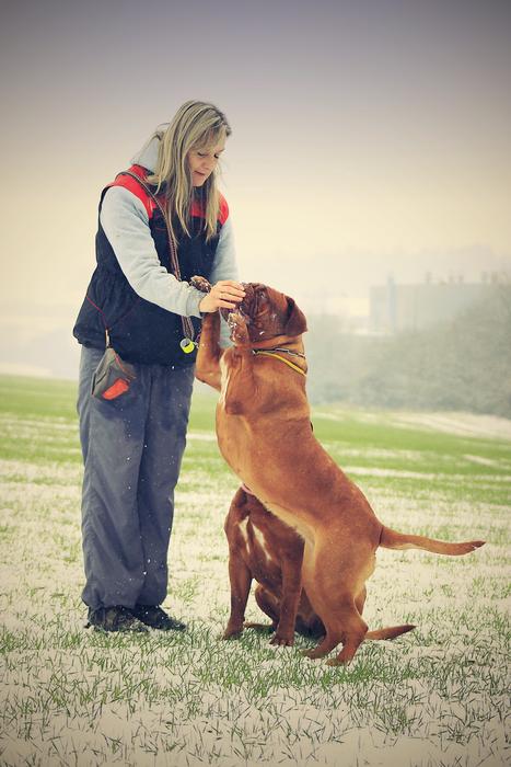 Snow Dog Bordeaux