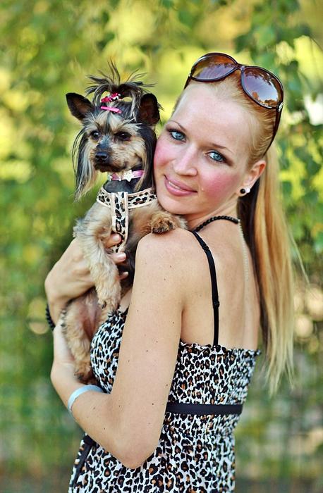 Yorkshire Terrier in the arms of a blonde in the park