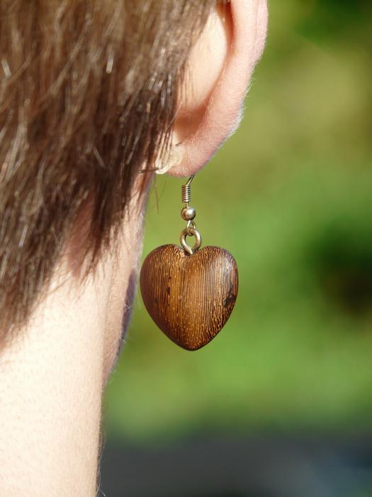 Earring Wood Jewelry