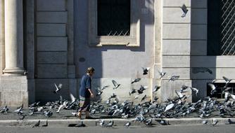 Woman Pigeons Pedestrian