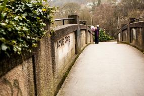 Trees Plant Bridge