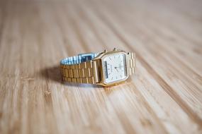 Gold Watch Fashion