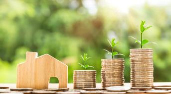 Wooden home and growing coins on blurred background