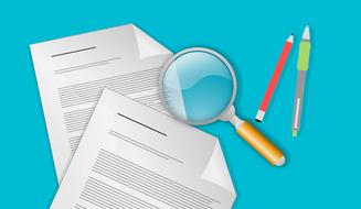 audit tax inspection as an illustration