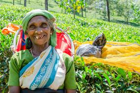 photo of an old woman at a tea plantation in Sri Lanka