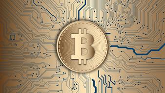 golden bitcoin on the background of the chip