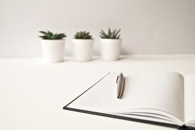 Paper with the pen and pots with the plants on white surface and background