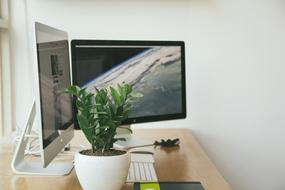 Workplace, Computer and potted plant on Desk