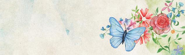 flowers and butterfly on blank banner