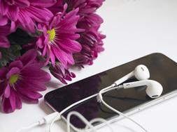 Flower and Desktop Technology