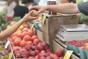 Apples Farmers Market