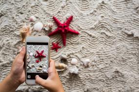 photo graph seashells and starfish on a smartphone