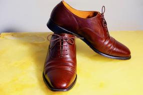 Shoes Formal Polished