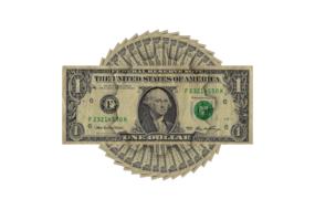 1 dollar bill on a white background