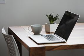 cup of tea, potted flower and laptop on the table