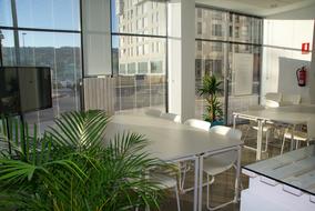 Interior of the office space, with the tables, chairs, screen and green plants