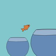 painted fish is jumping from aquarium to aquarium