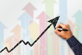 business success curve drawing