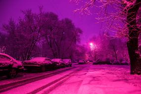 purple Snowy Street at Winter