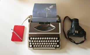 Imagination, sheet of paper with Bird in Typewriter