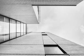 black and white photo of an office building walls