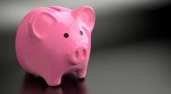 Piggy Bank Money pink