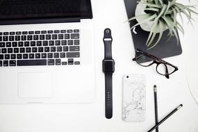 watch, glasses, smartphone, laptop and potted flower on the table