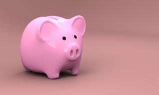 piggy bank money ceramic pig