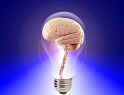 Idea in the brain clipart