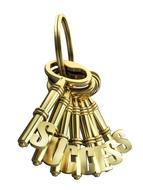 gold keys to success