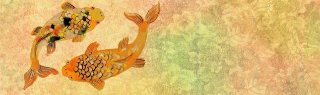 drawn golden Koi on a banner